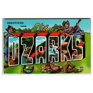 Vintage Greetings from The Ozarks Large Letter Postcard Curt Teich Chrome